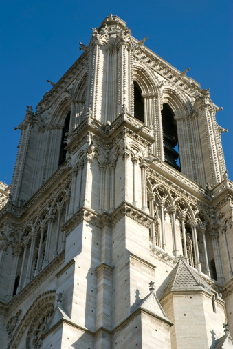 Notre Dame de Paris is a Gothic cathedral on the eastern half of the