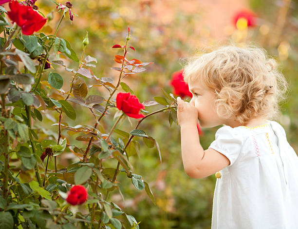 istock Beautiful child smelling rose 137512232