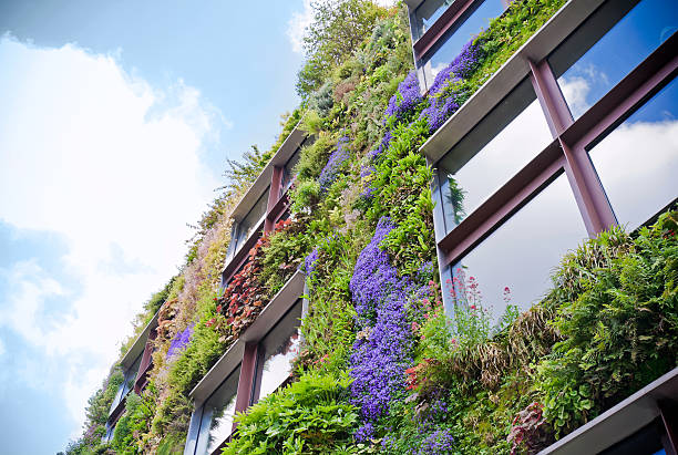 istock Building facade covered with flowers and foliage 137512824