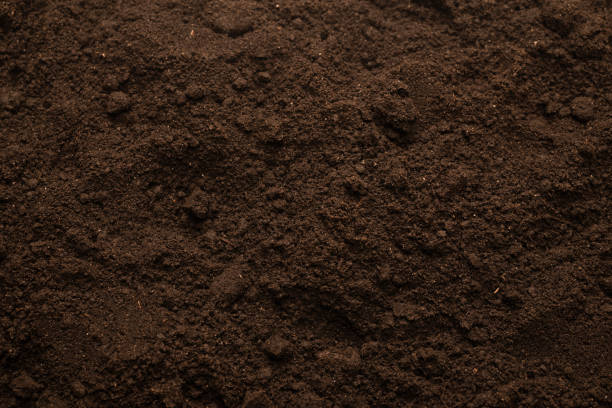 istock Black land for plant background. Top view. 1375136037