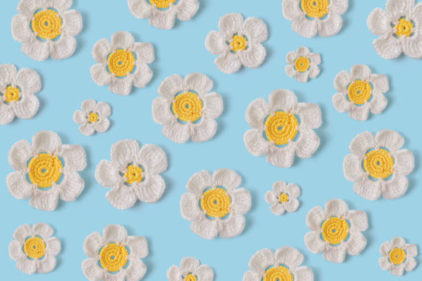 Beautiful white daisies made by hand in crochet and wool. Daisies pattern on blue background Daisies pattern on blue background Crochet stock pictures, royalty-free photos & images