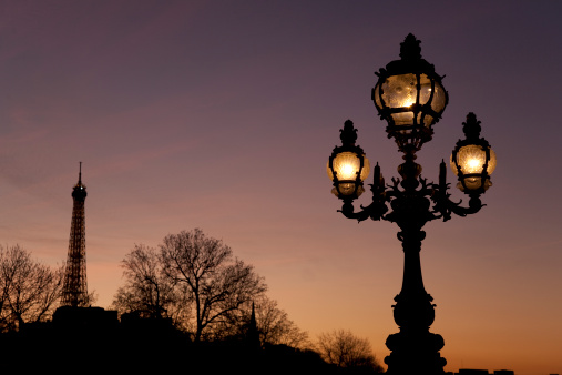 Lamppost on Pont Alexandre III Bridge with the Eiffel Tower in the Background in Paris, France