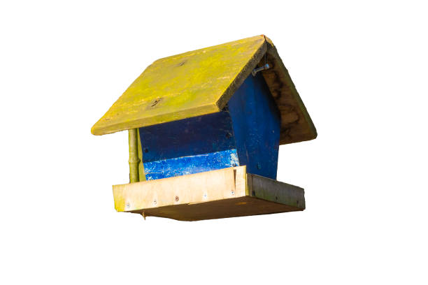 birdhouse na białym tle izolowany - birdhouse birds nest box isolated zdjęcia i obrazy z banku zdjęć