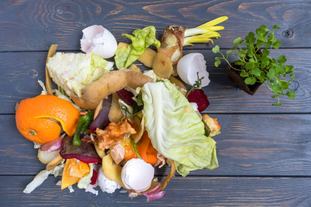 istock Vegetable and fruit waste from cooking and a peat pot with seedlings. Compost. The concept of zero waste. 1375203715