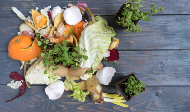 istock Vegetable and fruit waste from cooking and a peat pot with seedlings. Compost. The concept of zero waste. 1375204809