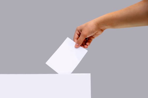 Male hand putting voting ballot into the vote box on grey background. Copy space for text