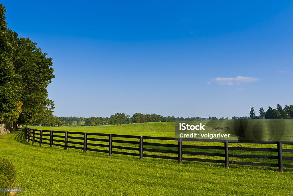 Land Landschaft mit braunem Zaun im Sommer - Lizenzfrei Agrarbetrieb Stock-Foto