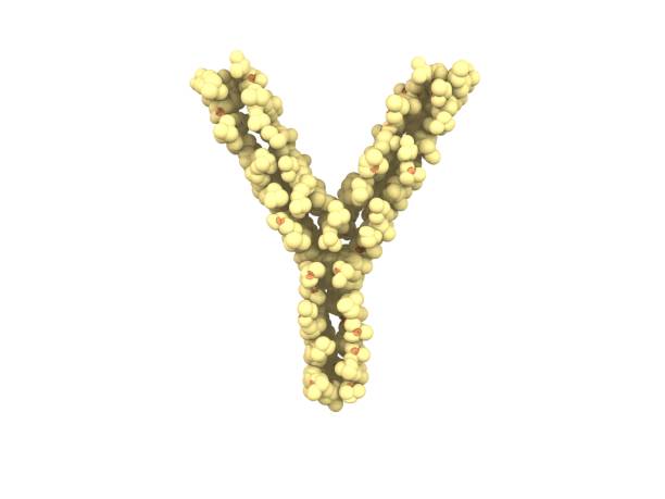istock Popcorn Themed Font  Letter Y 1375234072