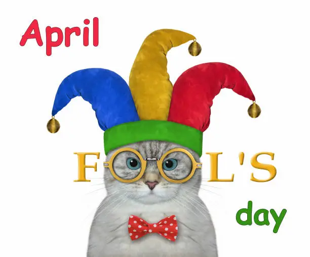An ashen cat clown in a jester hat wears funny glasses. April fool's day. White background. Isolated.