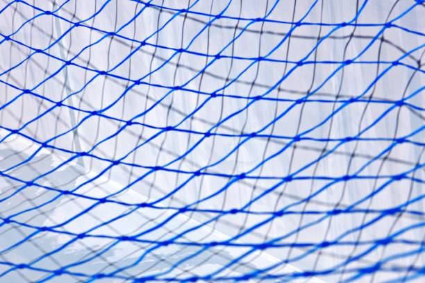 istock close up of a blue net 1375264595
