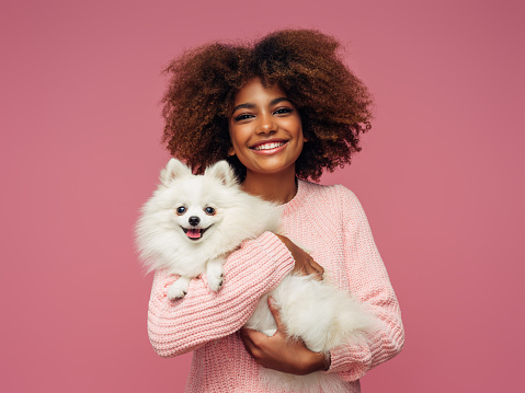 Studio portrait of smiling young african american girl  holding little dog