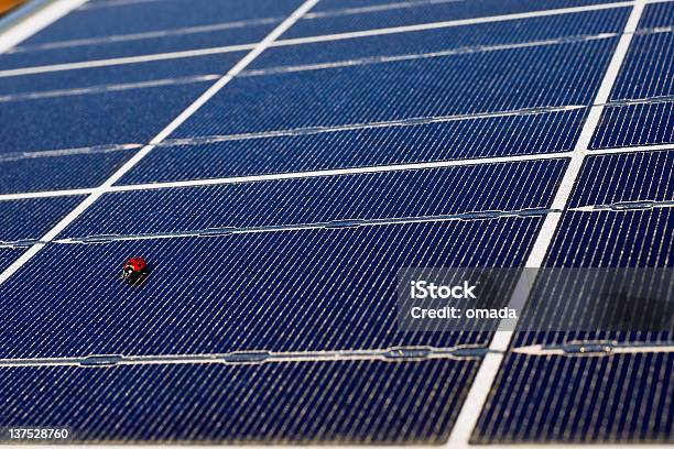 Mariquita En El Blue Panel Solar Foto de stock y más banco de imágenes de Abrir - Abrir, Aire libre, Ala de animal