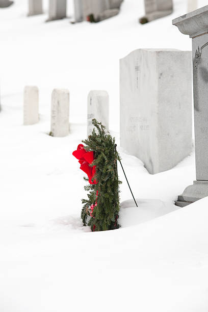 istock Arlington National Cemetery in December 137528844