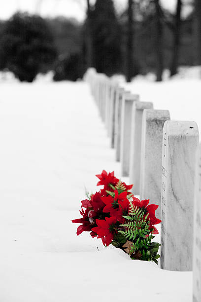 istock Arlington National Cemetery at Christmas 137528881