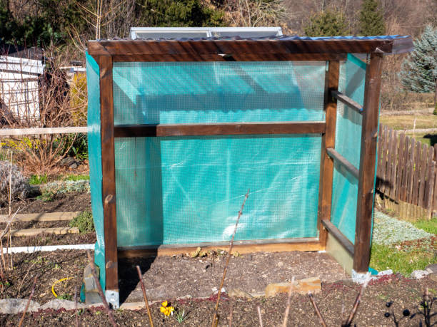 istock Cold frame greenhouse stands in the garden 1375329847
