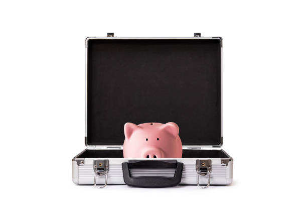 istock Piggy bank on brief case 1375332441