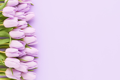 Bouquet of lilac tulips on a lilac background. Mothers Day, Valentines Day, birthday celebration concept. Top view, copy space for text