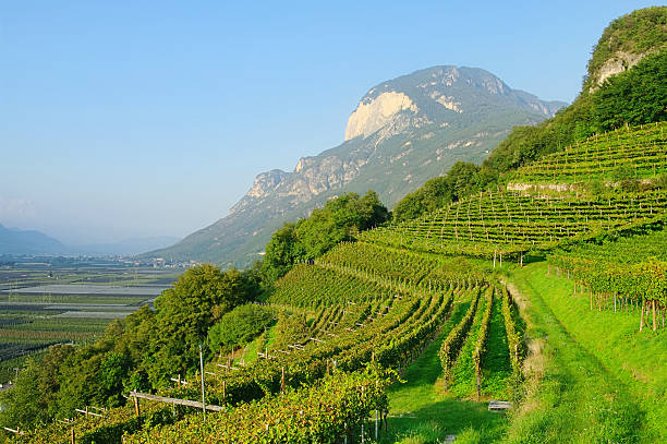 trydent - trentino alto adige zdjęcia i obrazy z banku zdjęć