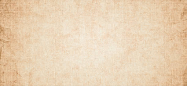 Brown textured paper background Royalty Free Vector Image