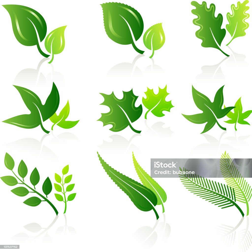 green leaves illustration set Poison Ivy stock vector