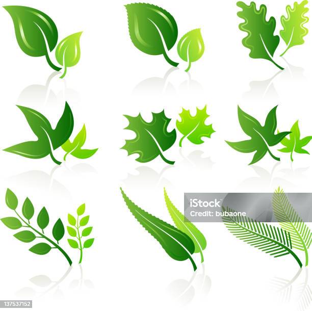 Green Leaves Illustration Set Stock Illustration - Download Image Now - Poison Ivy, Curve, Environment