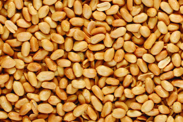 арахис - cooked still life close up nut стоковые фото и изображения