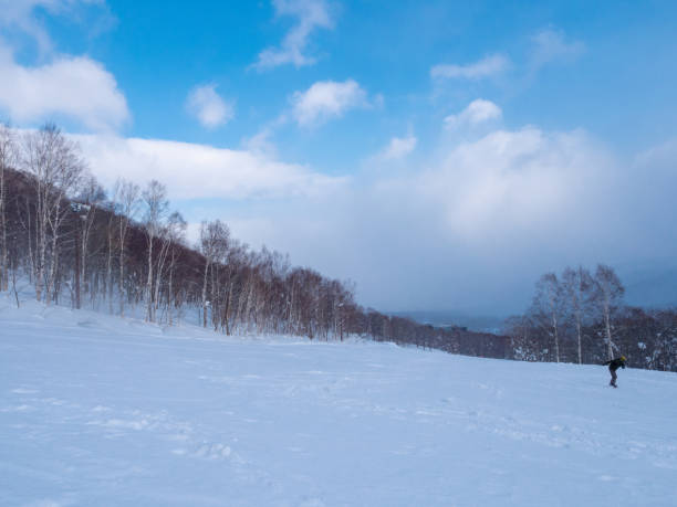 Teenage girl visiting Hokkaido in winter and enjoying snowboarding.