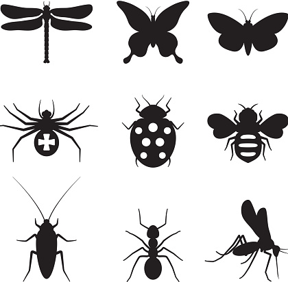 Stylized insects black and white icon set
