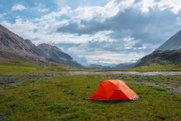 istock Scenic mountain landscape with tent in rain drops in sunlight under cloudy sky. Dramatic alpine scenery with vivid orange tent on grass among purple flowers in green mountain valley in rainy weather. 1375439954