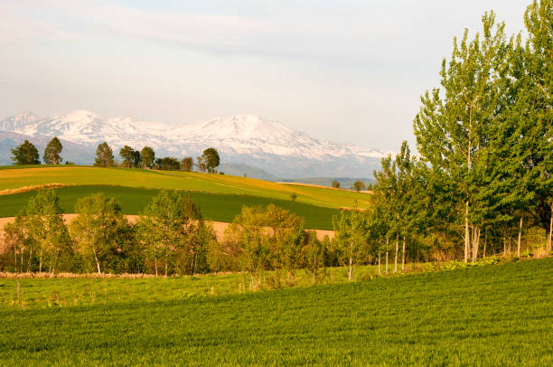 istock Hills and snowy mountains at dusk in spring 1375443953