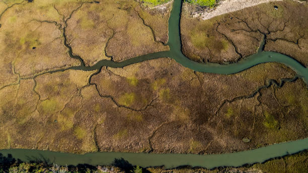 istock Aerial View of Marsh 1375462446