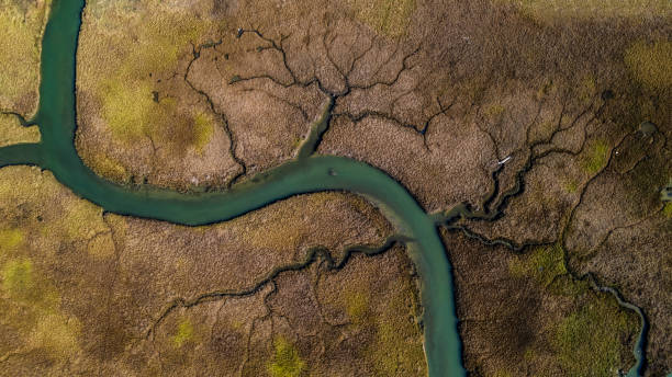 istock Aerial View of Marsh 1375462454