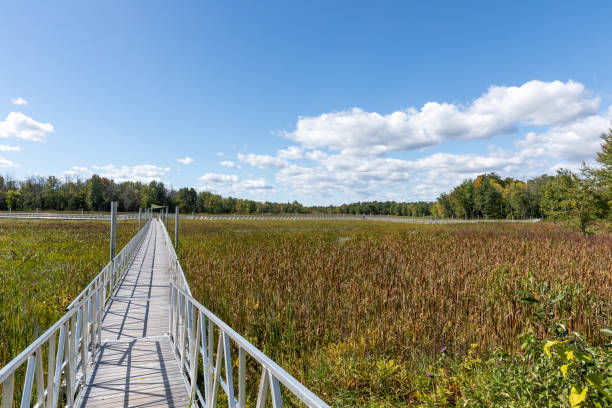 istock Point Of View walking on floating walkway in Summer 1375486927
