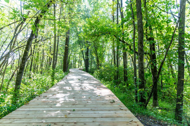 istock Point Of View walking on floating walkway in Summer 1375489619