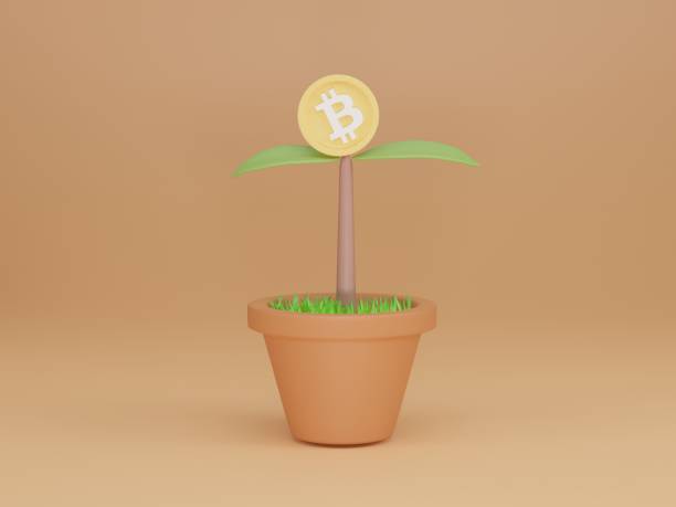 istock Seedling plant with bitcoin flower in pot on light orange background. 1375502483