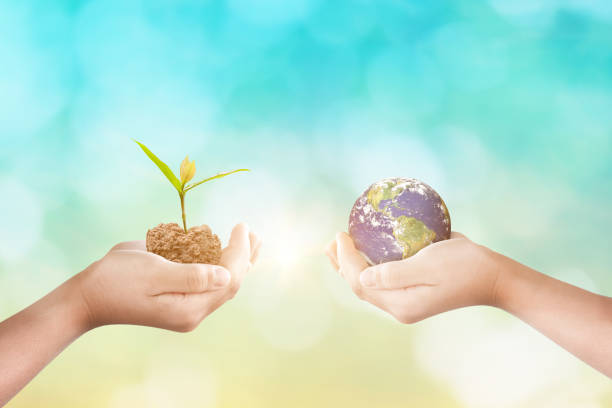 istock Hands holding earth globe and growing seedlings over blurred nature background. Elements of this image furnished by NASA 1375505086