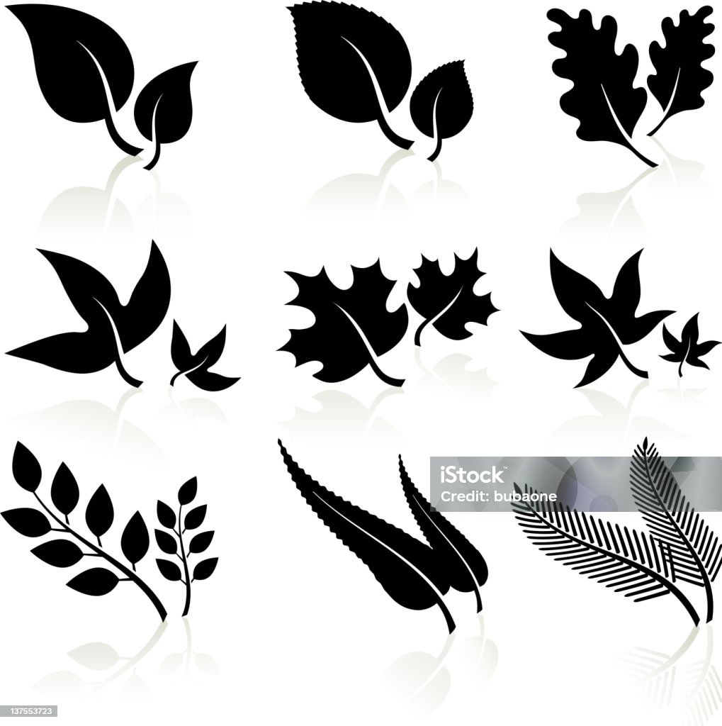 leaves black and white Leaves black and white Oak Leaf stock vector