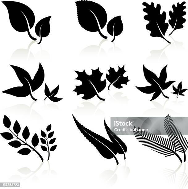 Leaves Black And White Stock Illustration - Download Image Now - Oak Leaf, Vector, Fern