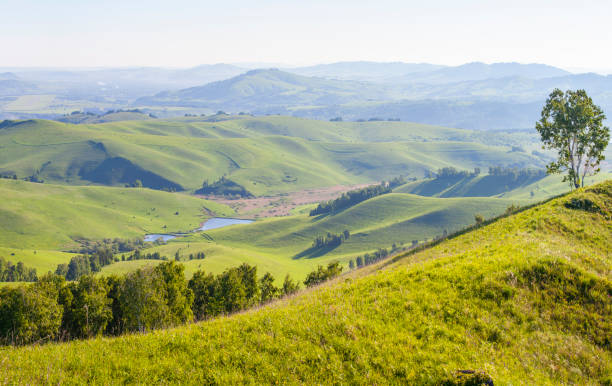 istock Green hills, meadows and trees. Sunny day, countryside. 1375559073