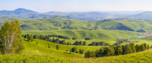 istock Green hills, meadows and trees. Sunny summer day, countryside. 1375559083