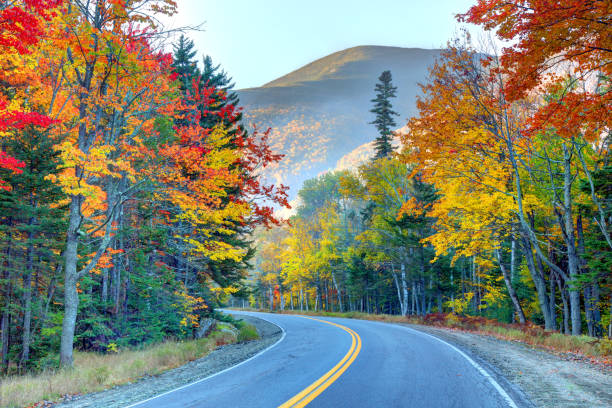 istock Grafton Notch State Park in Maine 1375574627