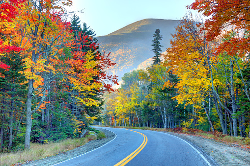 Grafton Notch State Park is a public recreation area in Grafton Township, Oxford County, Maine