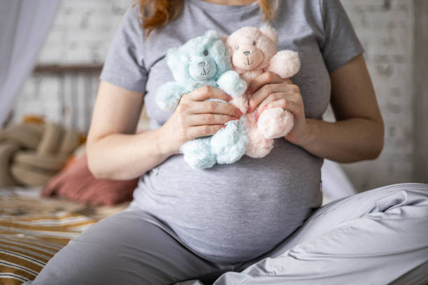 Happy pregnant woman sitting on bed at bedroom holding two cute bear toys awaiting twins baby stock photo