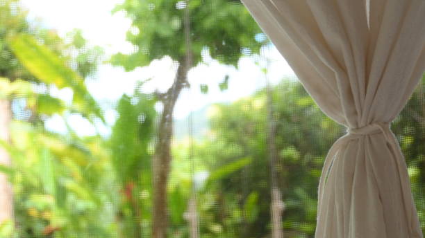 istock curtain in the room with natural background 1375603408