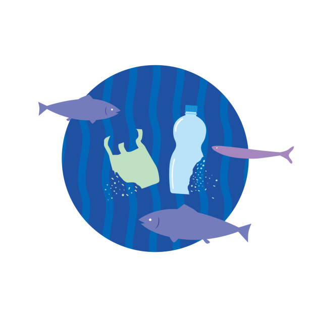 Microplastic Fish Vector 390+ Microplastics Fish Stock Illustrations, Royalty-Free Vector ...