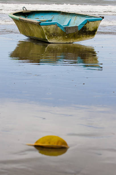 Boat and Leaf on a Wet Beach stock photo