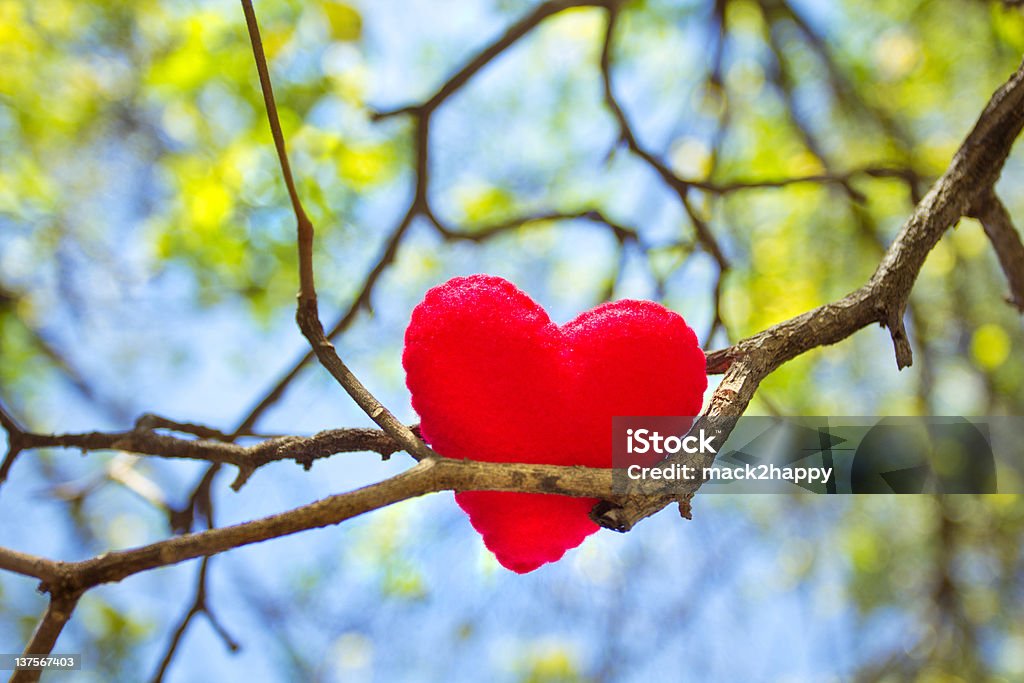 Heart on branch with leaves and sky background Red Heart on tree branch with leaves and blue sky background Attached Stock Photo