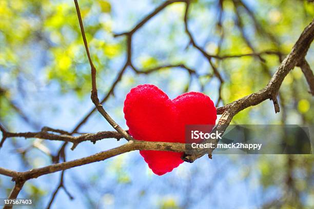 Heart On Branch With Leaves And Sky Background Stock Photo - Download Image Now - Attached, Autumn, Blue
