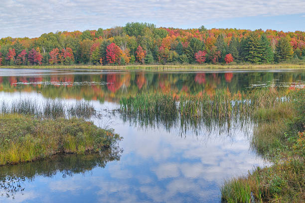 istock Autumn Shoreline Doe Lake 137575423