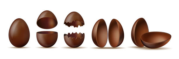 ilustraciones, imágenes clip art, dibujos animados e iconos de stock de juego de huevos de chocolate. cáscara de huevo rota y agrietada con mitades y huevo entero - huevo etapa de animal